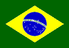 Brazil FlagFan